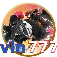 vin777